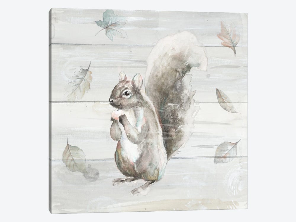 Neutral Squirrel by Patricia Pinto 1-piece Canvas Print