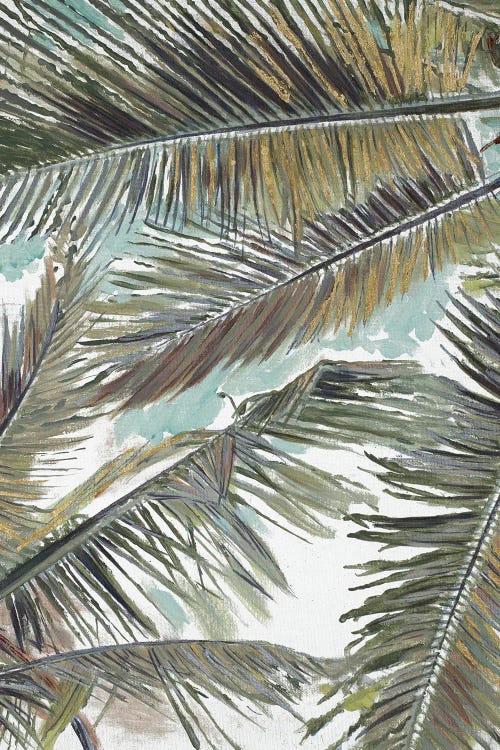 Palms in the Sky
