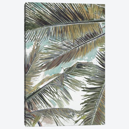 Palms in the Sky Canvas Print #PPI663} by Patricia Pinto Canvas Wall Art