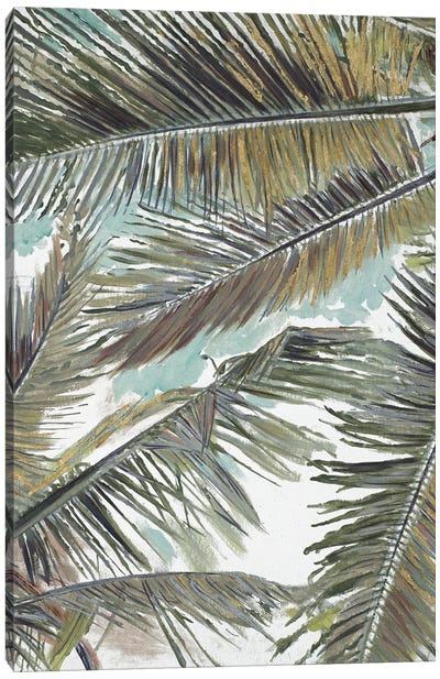 Palms in the Sky Canvas Art Print - Patricia Pinto