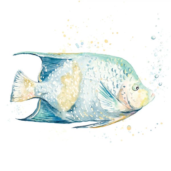 Patricia Pinto: Pescado Azul Square by Patricia Pinto