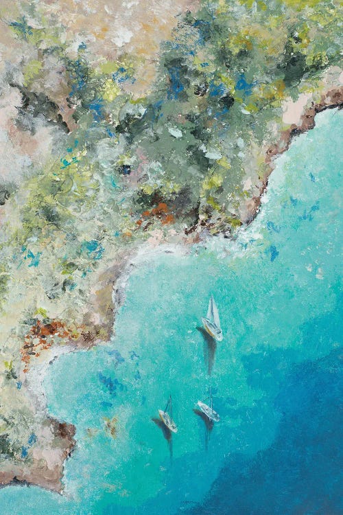 Playa Escondida from Above by Patricia Pinto wall art