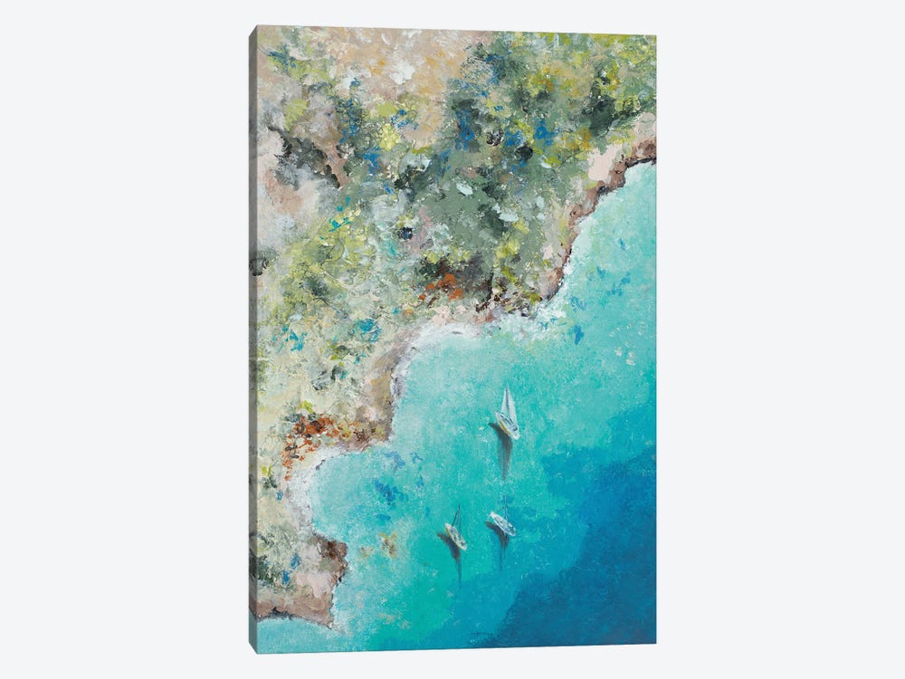 Playa Escondida from Above by Patricia Pinto 1-piece Art Print