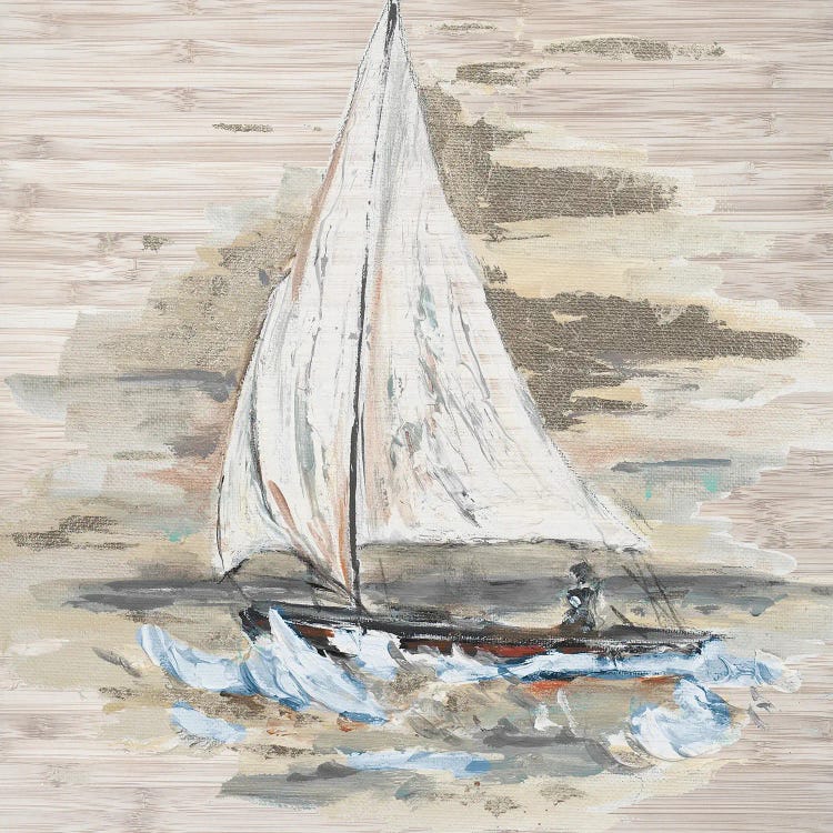 Rough Sailing I