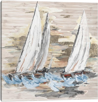 Rough Sailing II Canvas Art Print - Patricia Pinto