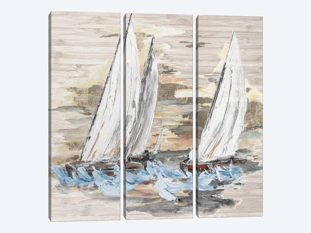 Rough Sailing II by Patricia Pinto 3-piece Art Print