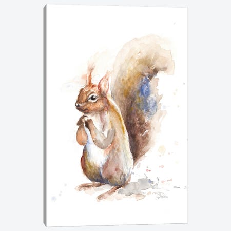 Squirrel Canvas Print #PPI673} by Patricia Pinto Canvas Print