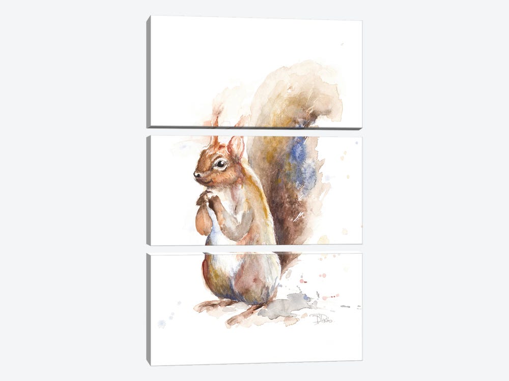 Squirrel by Patricia Pinto 3-piece Canvas Print