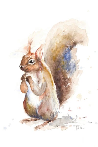 Squirrels: Squirrel by Patricia Pinto