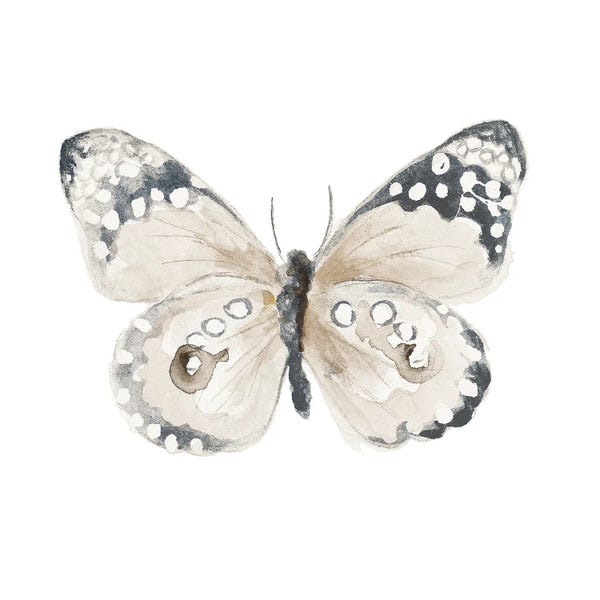Patricia Pinto: Steady Wings I by Patricia Pinto