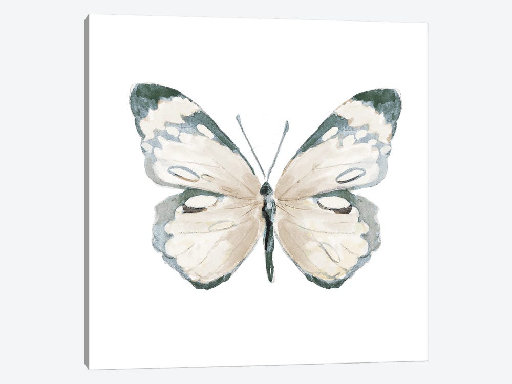 Steady Wings III by Patricia Pinto 1-piece Art Print