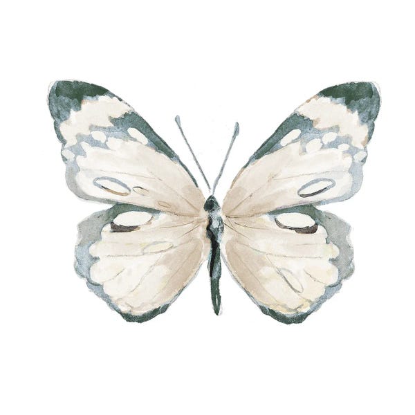 Patricia Pinto: Steady Wings III by Patricia Pinto