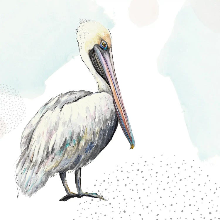 Turquoise Pelican by Patricia Pinto wall art