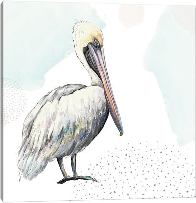 Turquoise Pelican Canvas Art Print - Pelican Art
