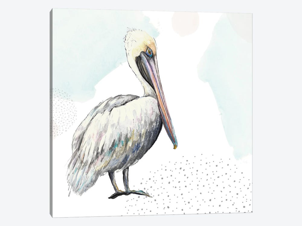 Turquoise Pelican by Patricia Pinto 1-piece Canvas Art