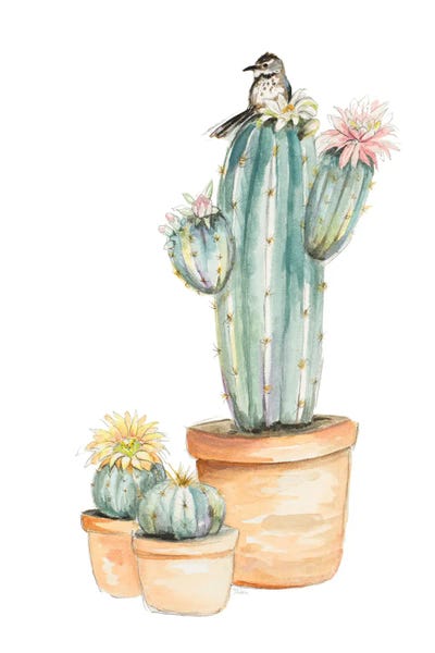 Bird On Flower Cactus by Patricia Pinto canvas print