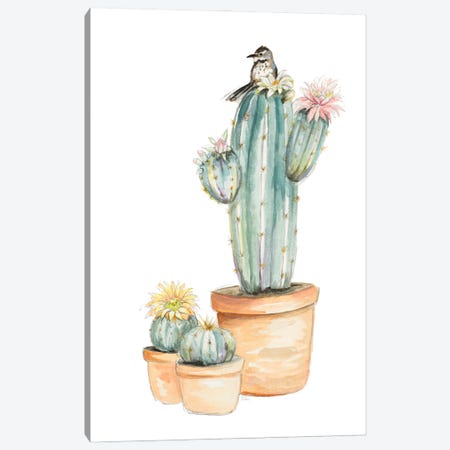 Bird On Flower Cactus Canvas Print #PPI683} by Patricia Pinto Canvas Wall Art