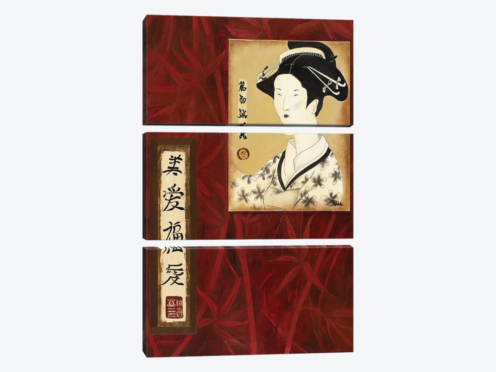 Geisha II by Patricia Pinto 3-piece Canvas Artwork