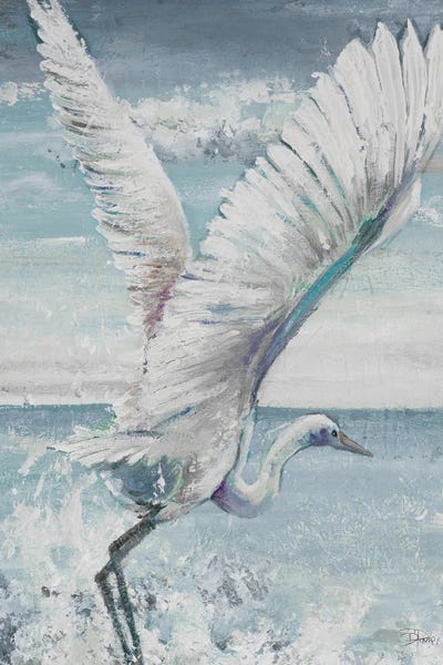 Nautical Décor: Great Egret Flying by Patricia Pinto