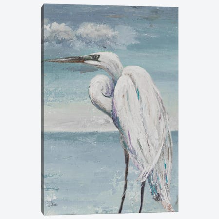 Great Egret Standing Canvas Print #PPI700} by Patricia Pinto Canvas Art Print