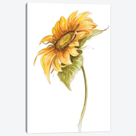 Harvest Gold Sunflower I Canvas Print #PPI702} by Patricia Pinto Canvas Art Print