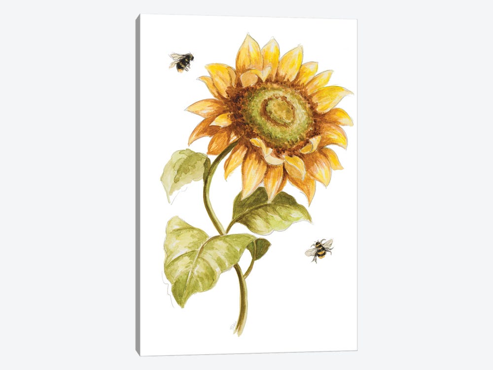 Harvest Gold Sunflower II by Patricia Pinto 1-piece Art Print