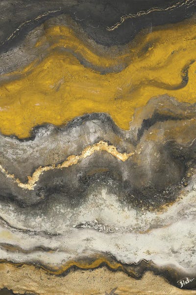 Lava Flow I by Patricia Pinto canvas print