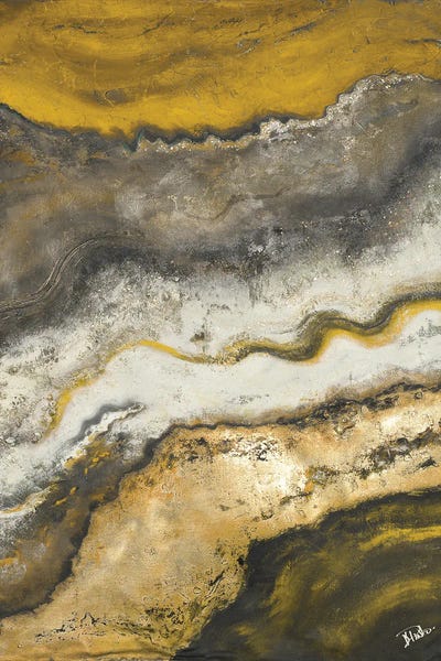 Lava Flow II by Patricia Pinto canvas print