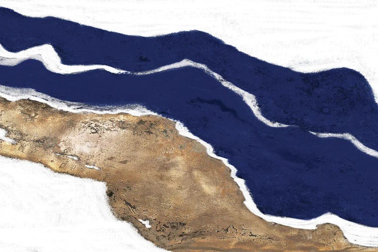 Navy and Gold Tierra I by Patricia Pinto wall art