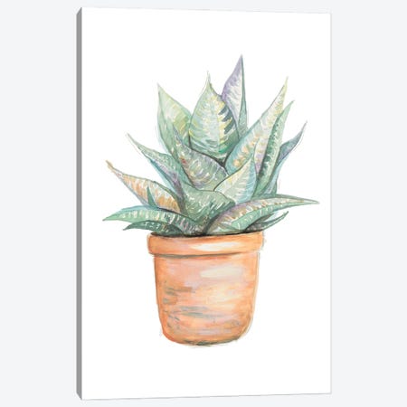 Potted Cactus Canvas Print #PPI725} by Patricia Pinto Canvas Art