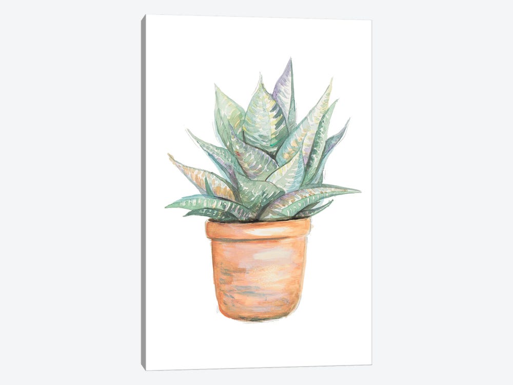 Potted Cactus by Patricia Pinto 1-piece Canvas Print