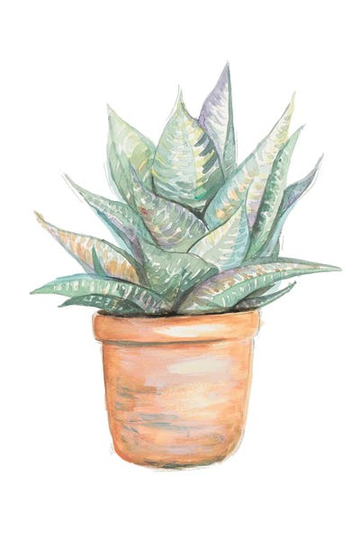 Patricia Pinto: Potted Cactus by Patricia Pinto