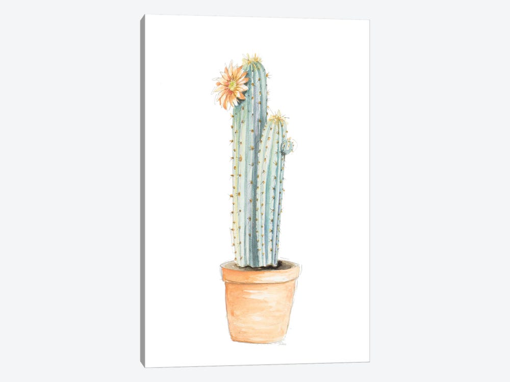 Potted Flower Cactus by Patricia Pinto 1-piece Canvas Artwork