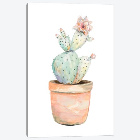 Potted Flower Cactus Canvas Print #PPI727} by Patricia Pinto Canvas Wall Art