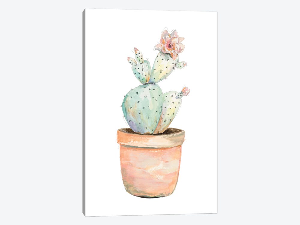 Potted Flower Cactus by Patricia Pinto 1-piece Canvas Art Print