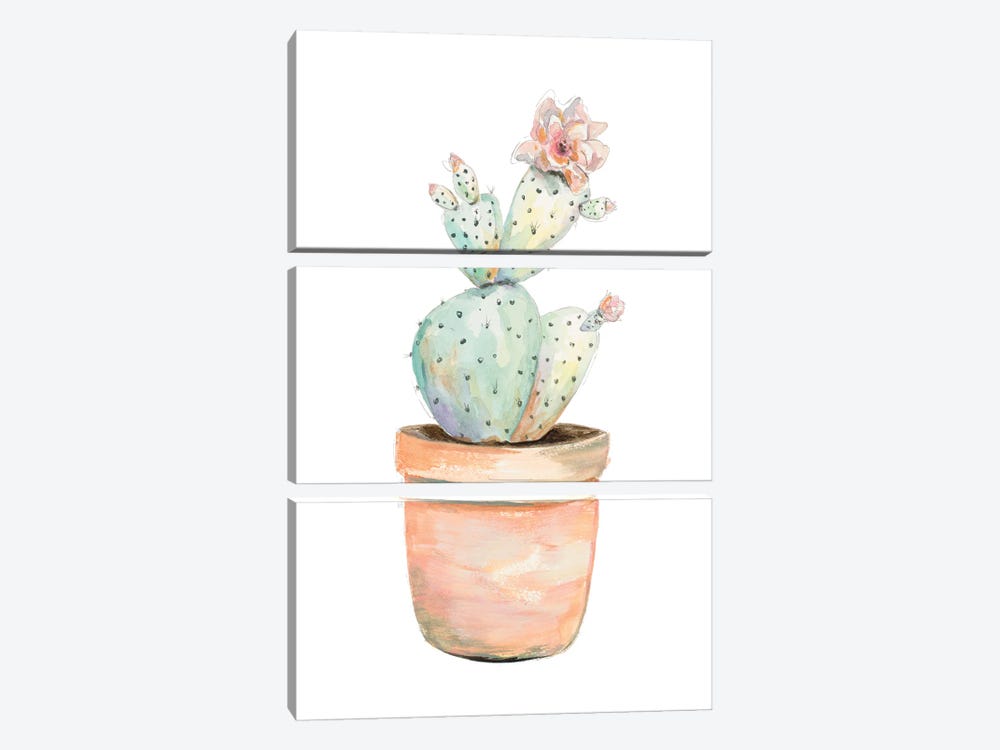 Potted Flower Cactus by Patricia Pinto 3-piece Canvas Art Print