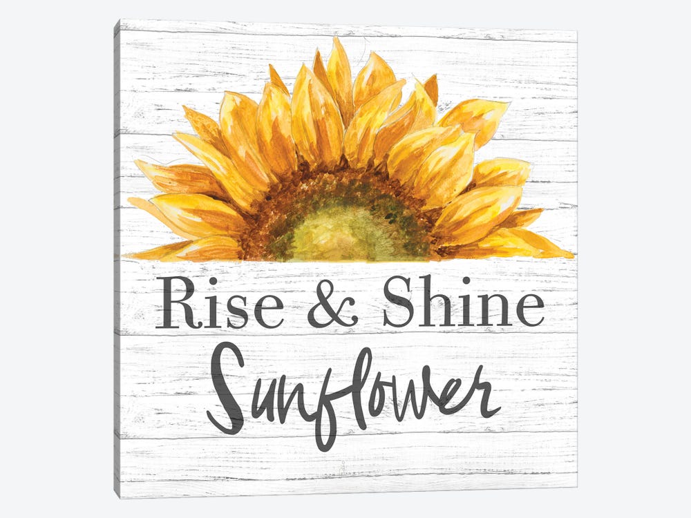 Rise & Shine Sunflower by Patricia Pinto 1-piece Canvas Print