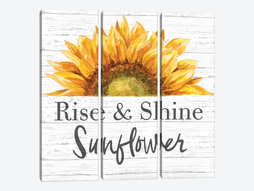 Rise & Shine Sunflower by Patricia Pinto 3-piece Canvas Print