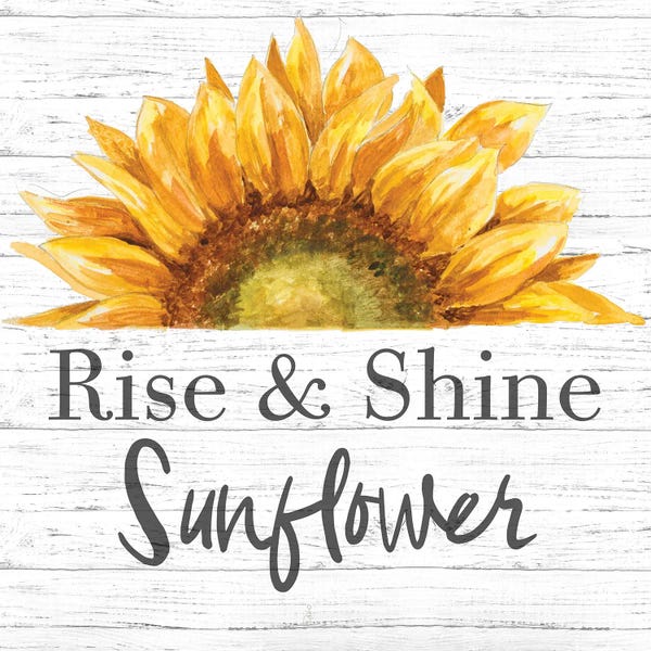 Patricia Pinto: Rise & Shine Sunflower by Patricia Pinto
