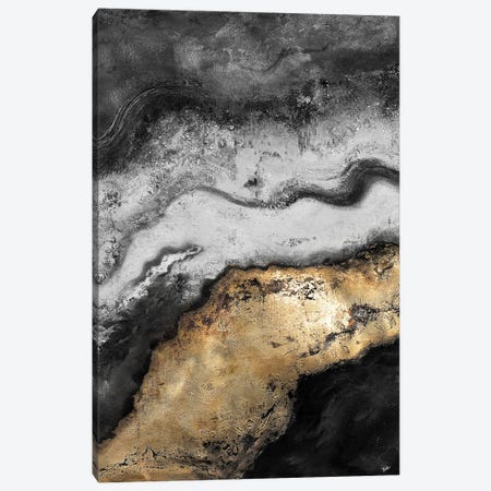 Tierra In Gold and Black Canvas Print #PPI730} by Patricia Pinto Canvas Artwork