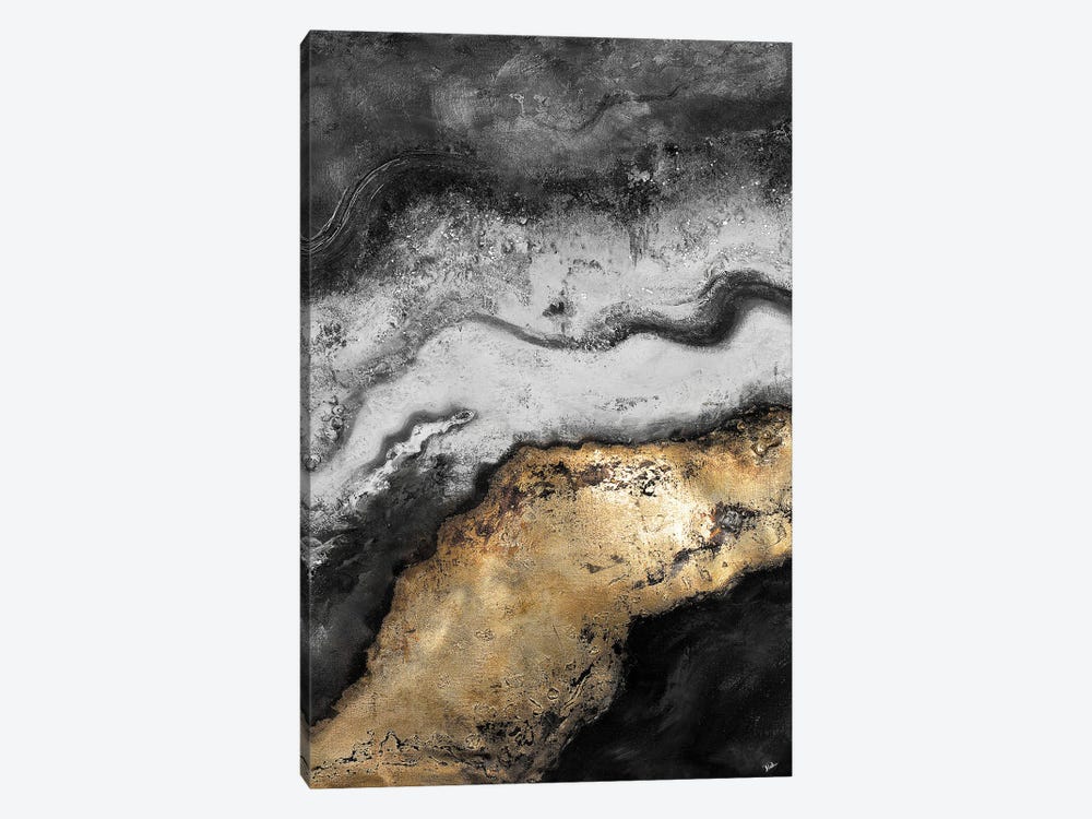 Tierra In Gold and Black by Patricia Pinto 1-piece Canvas Print