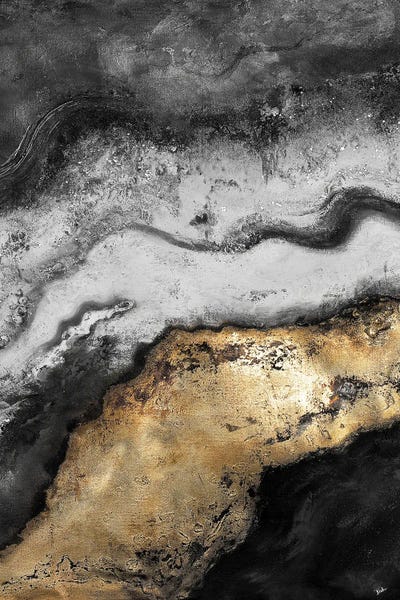 Black & White & Gold: Tierra In Gold and Black by Patricia Pinto