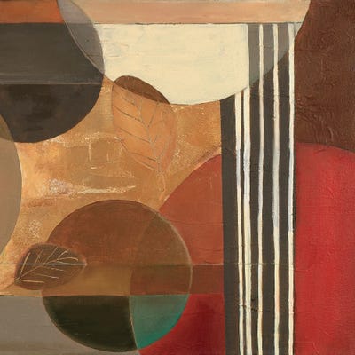 Visionary IV by Patricia Pinto canvas print