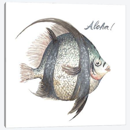Aloha Fish Canvas Print #PPI739} by Patricia Pinto Canvas Artwork