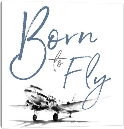 Born to Fly Canvas Art Print - Exploration Art