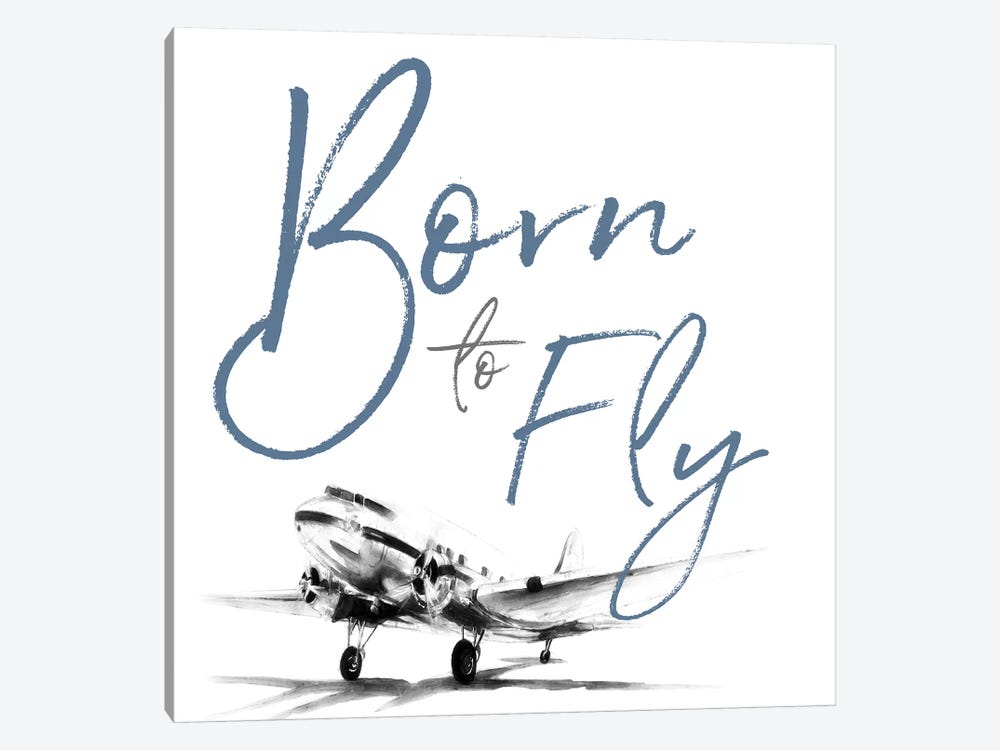 Born to Fly by Patricia Pinto 1-piece Canvas Artwork