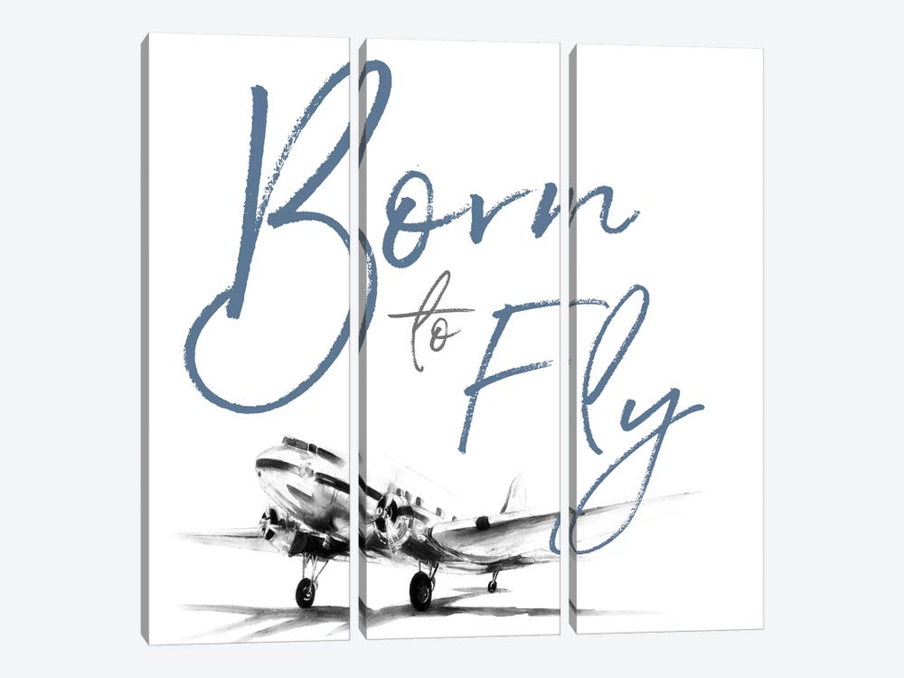 Born to Fly by Patricia Pinto 3-piece Canvas Wall Art