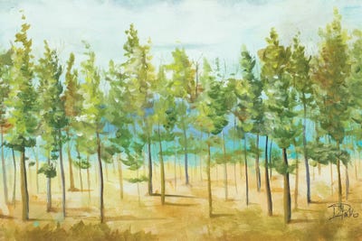 Bosque Verde by Patricia Pinto framed wall art