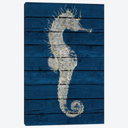 Antique Seahorse on Blue I Canvas Print #PPI742} by Patricia Pinto Canvas Print