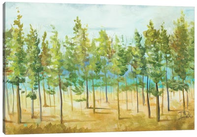 Bosque Verde Canvas Art Print - Patricia Pinto